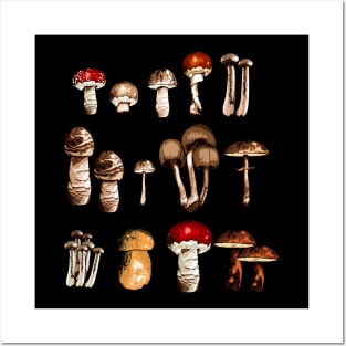 Mushroom Picker Mushrooms Collection Nature Lover Posters and Art